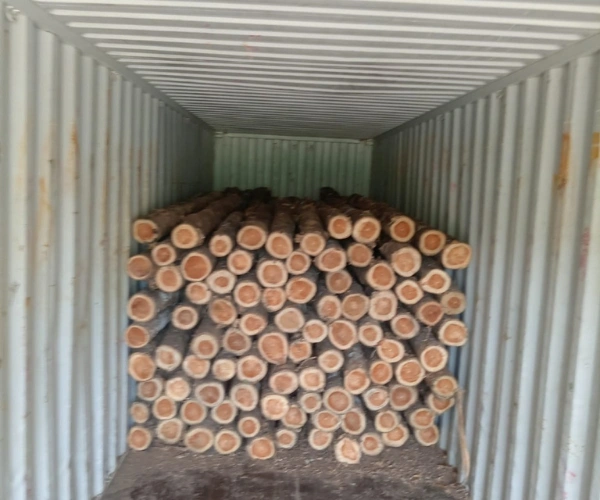 Teak Wood Log Manufacturers in Chennai